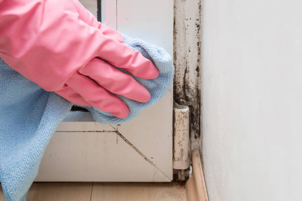 Mold Remediation for Rental Properties in Middletown, DE